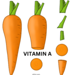 vitamin a sources